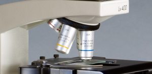 What is the difference between plan and semi-plan objectives on a microscope?