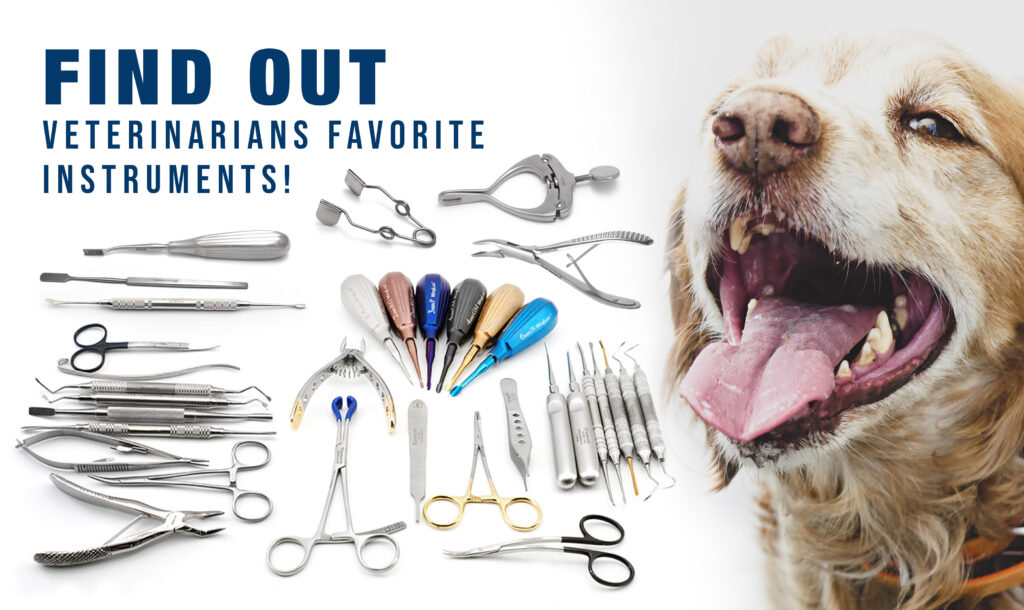 Veterinary dental instruments purchase guide 2021