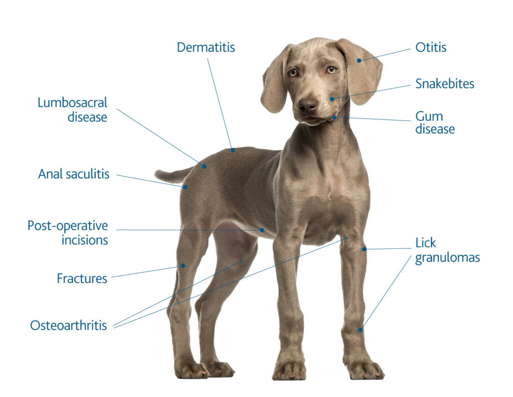 Multi Radiance therapeutic laser ROI