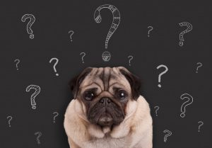 6 Things to Ask your Preventive Maintenance Company About your Anesthesia Units