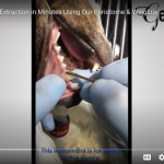 Dental instruments