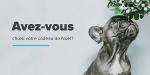 Avez-vous choisi votre cadeau de Noël?