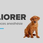 Comment améliorer vos connaissances anesthésie