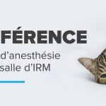LA référence en matière d’anesthésie dans votre salle d’IRM