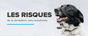 Les risques de la dentisterie sans anesthésie